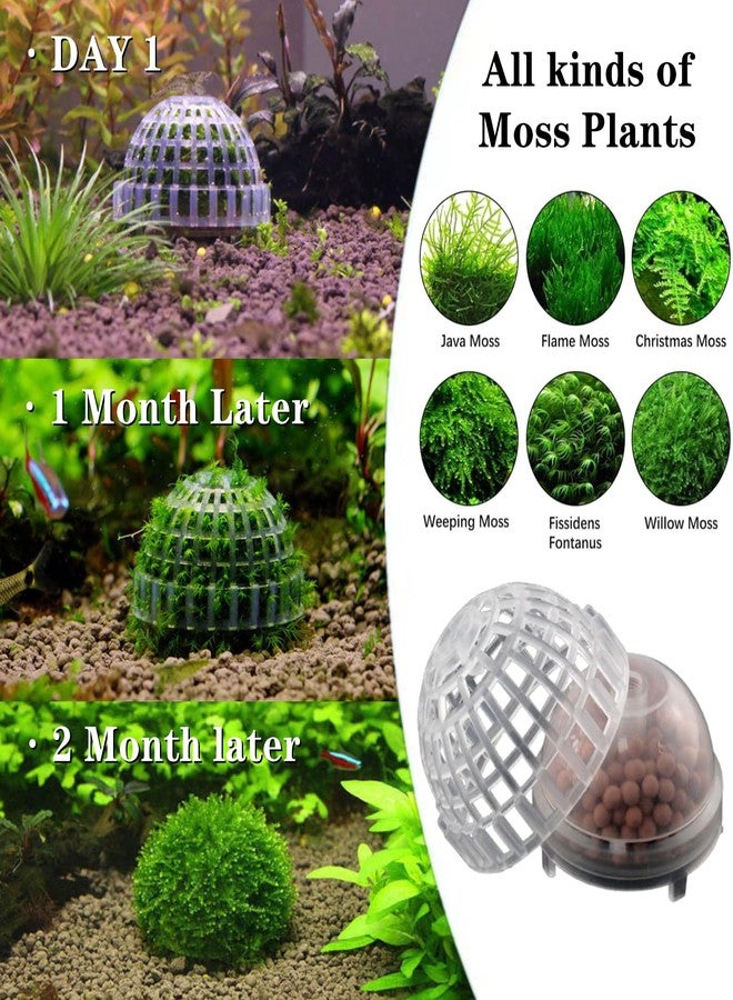 SHUNGXINYI 3 PCS Aquarium Moss Ball Holder Professional Aquarium Plant Holder Plastic Moss Ball Fish Tank Plant Holder with Filter Stone for Fish Tank Accessories - Image 5